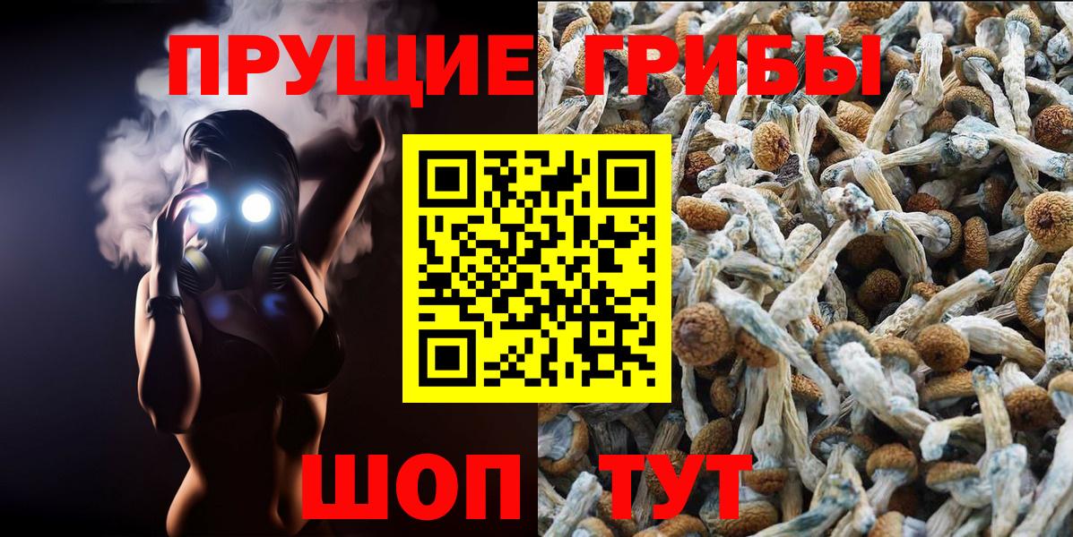 Ивантеевка  Галлюциногенные грибы Cubensis  Вход с VPN 