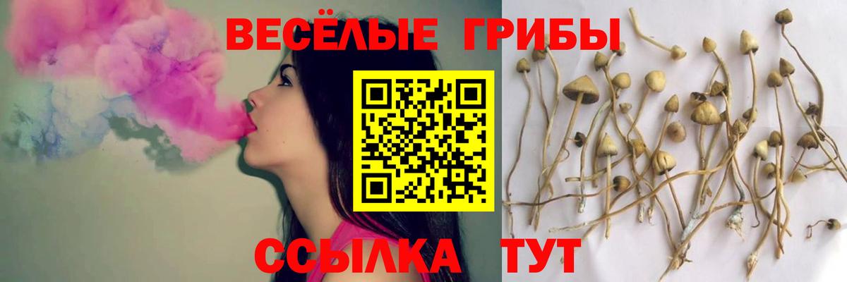 Галлюциногенные грибы прущие грибы Ивантеевка